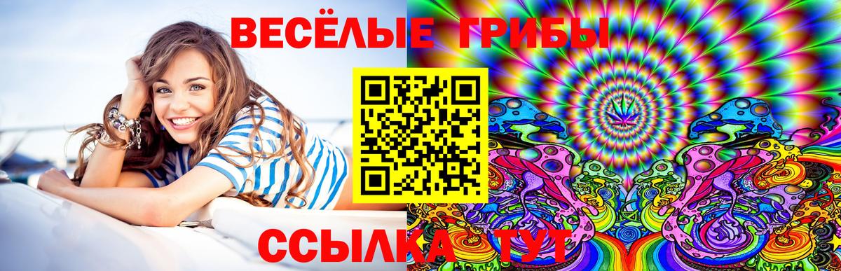 Псилоцибиновые грибы Psilocybe  Галлюциногенные грибы мухоморы  Вход с VPN  Курган 