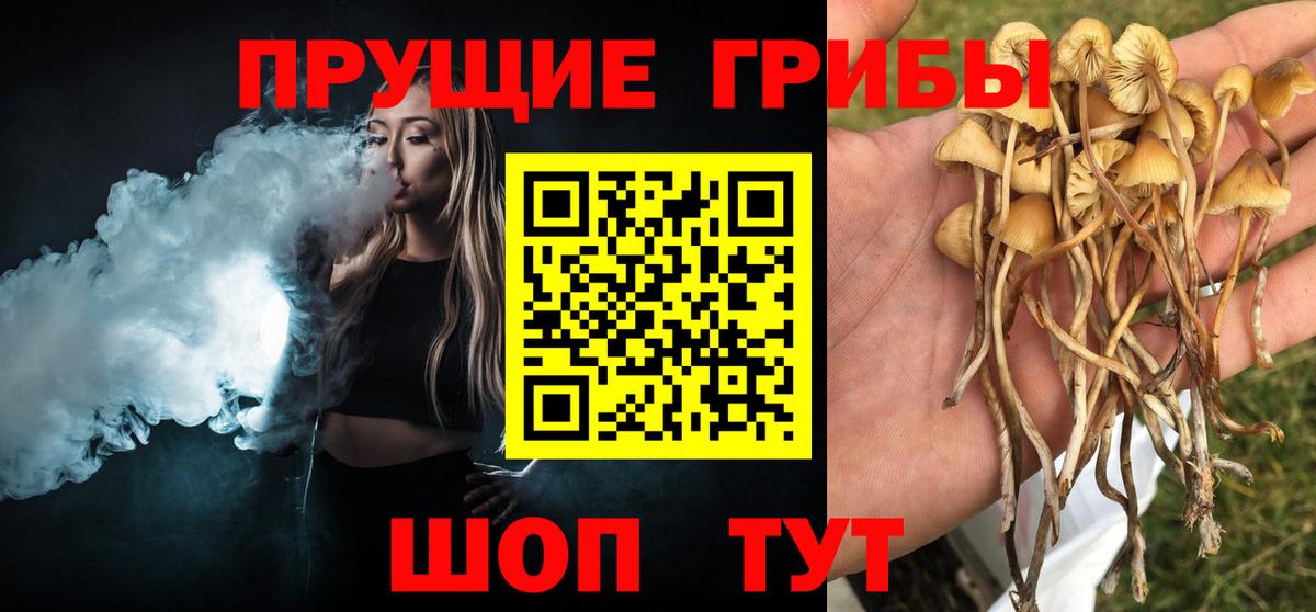 Галлюциногенные грибы прущие грибы Курган